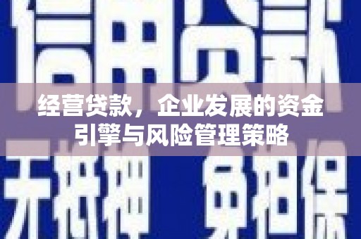 贞丰经营贷款，企业发展的资金引擎与风险管理策略