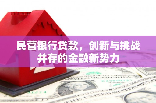 阜康民营银行贷款，创新与挑战并存的金融新势力