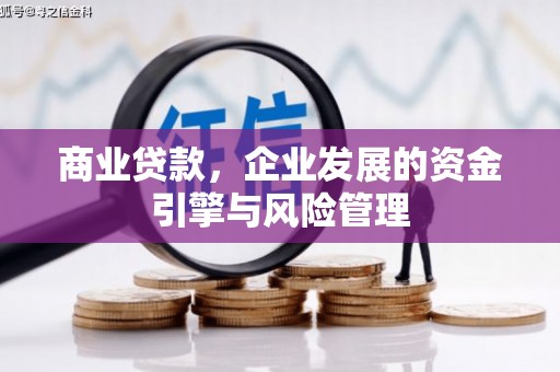 金乡商业贷款，企业发展的资金引擎与风险管理