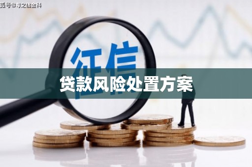 太谷贷款风险处置方案
