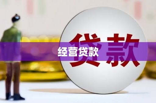 云龙经营贷款