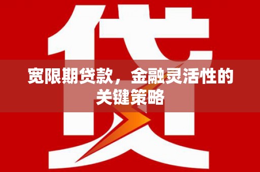 勉县宽限期贷款，金融灵活性的关键策略