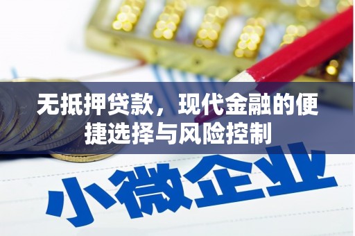 鄯善无抵押贷款，现代金融的便捷选择与风险控制