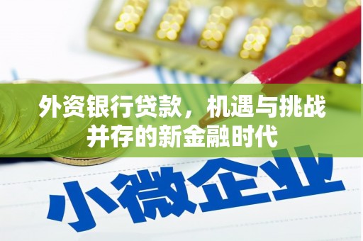 北市外资银行贷款，机遇与挑战并存的新金融时代
