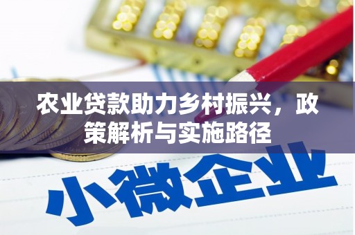 衡东农业贷款助力乡村振兴，政策解析与实施路径