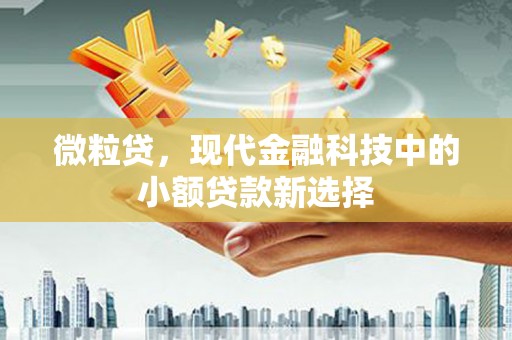 当涂微粒贷，现代金融科技中的小额贷款新选择