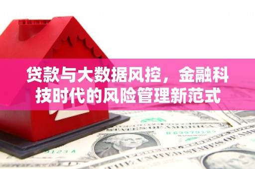 临淄贷款与大数据风控，金融科技时代的风险管理新范式
