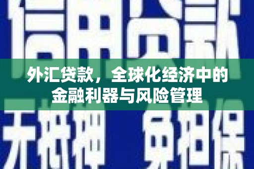 芦溪外汇贷款，全球化经济中的金融利器与风险管理