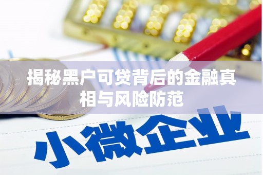 金安揭秘黑户可贷背后的金融真相与风险防范