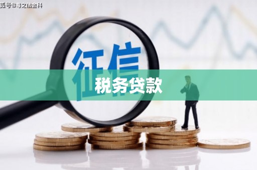 久治税务贷款