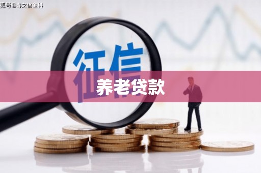 狮子养老贷款