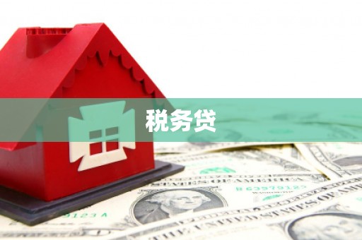 丰原税务贷