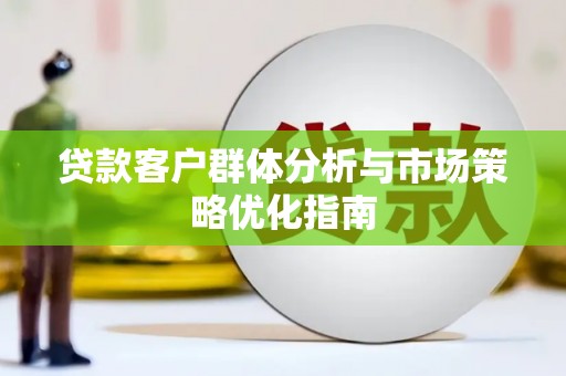 大丰贷款客户群体分析与市场策略优化指南