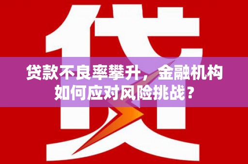 安居贷款不良率攀升，金融机构如何应对风险挑战？