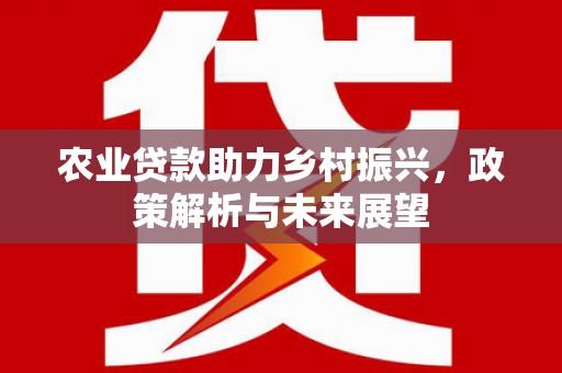 竹崎农业贷款助力乡村振兴，政策解析与未来展望