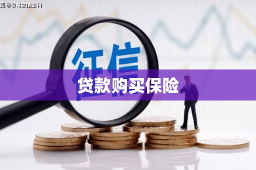 任县贷款购买保险