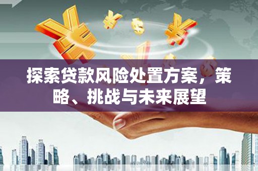 浔阳探索贷款风险处置方案，策略、挑战与未来展望