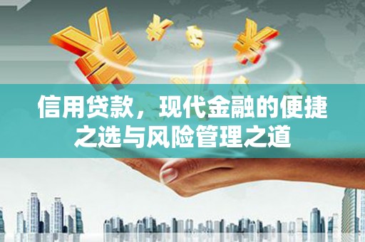 柳南信用贷款，现代金融的便捷之选与风险管理之道