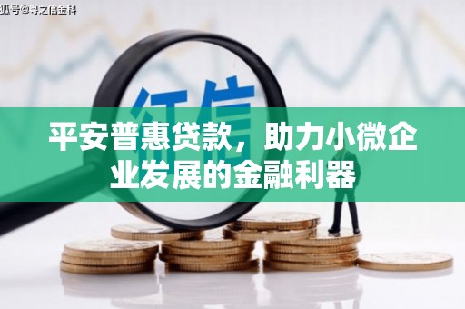 雨山平安普惠贷款，助力小微企业发展的金融利器