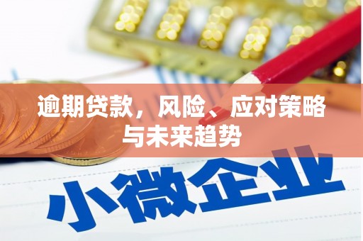 邓州逾期贷款，风险、应对策略与未来趋势