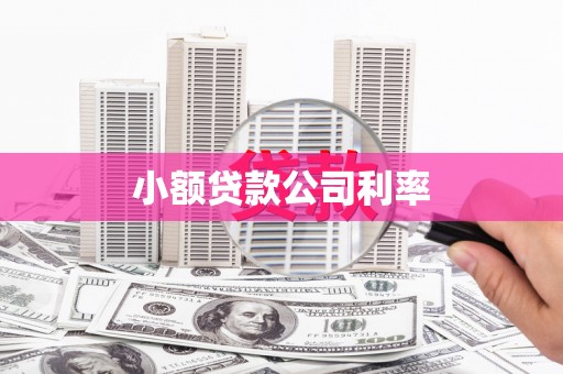 永康小额贷款公司利率
