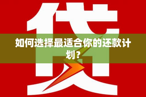 甘泉如何选择最适合你的还款计划？