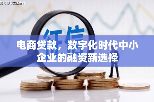 香格里拉电商贷款，数字化时代中小企业的融资新选择
