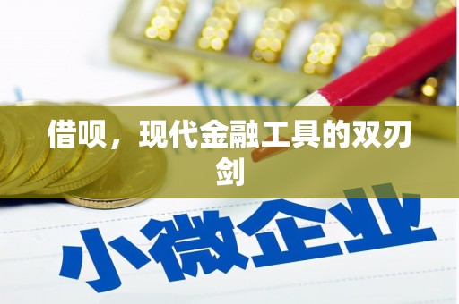 海原借呗，现代金融工具的双刃剑