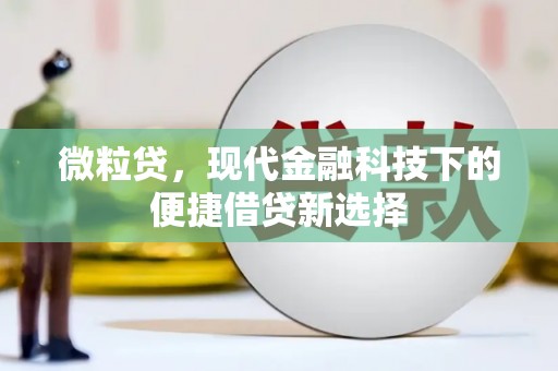 巴塘微粒贷，现代金融科技下的便捷借贷新选择