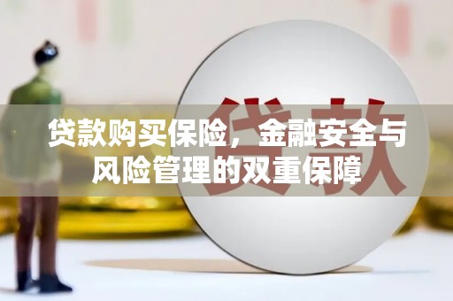 昔阳贷款购买保险，金融安全与风险管理的双重保障