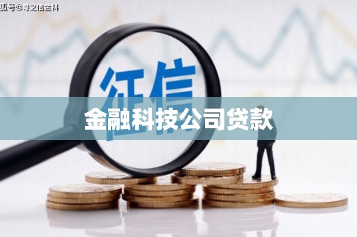 定陶金融科技公司贷款