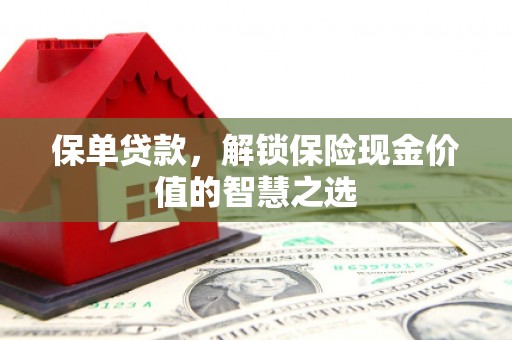 泽普保单贷款，解锁保险现金价值的智慧之选