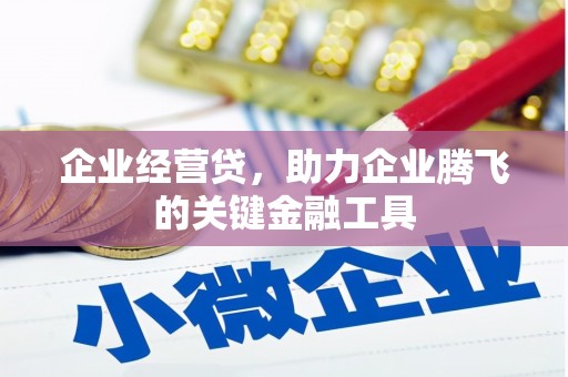 芦淞企业经营贷，助力企业腾飞的关键金融工具