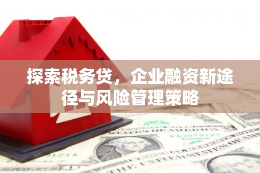 枝江探索税务贷，企业融资新途径与风险管理策略