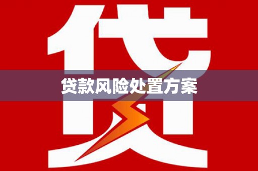 南郊贷款风险处置方案