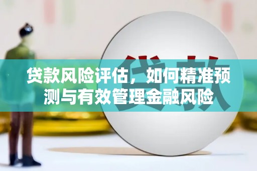 长岭贷款风险评估，如何精准预测与有效管理金融风险