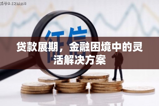 魏县贷款展期，金融困境中的灵活解决方案