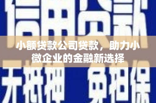 秦安小额贷款公司贷款，助力小微企业的金融新选择