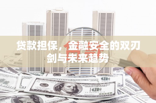 崇明贷款担保，金融安全的双刃剑与未来趋势