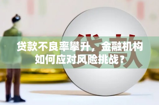 嵊州贷款不良率攀升，金融机构如何应对风险挑战？