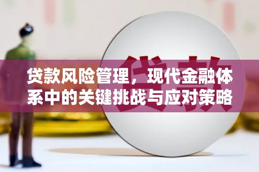 红安贷款风险管理，现代金融体系中的关键挑战与应对策略