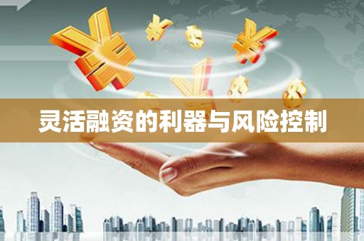 阜南灵活融资的利器与风险控制