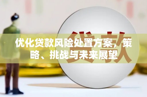 浉河优化贷款风险处置方案，策略、挑战与未来展望