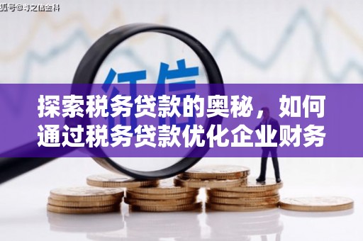 王益探索税务贷款的奥秘，如何通过税务贷款优化企业财务