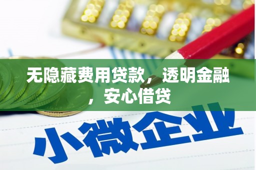 雷山无隐藏费用贷款，透明金融，安心借贷