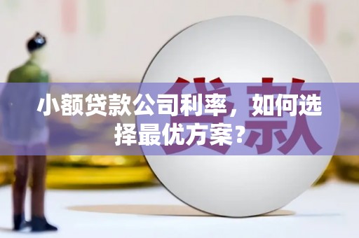 湟中小额贷款公司利率，如何选择最优方案？