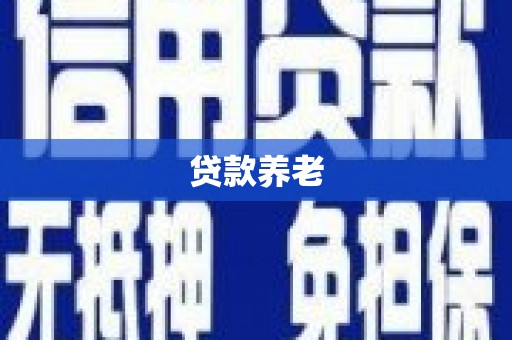 蒙城贷款养老