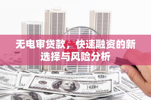 新埤无电审贷款，快速融资的新选择与风险分析