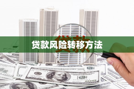 麦积贷款风险转移方法