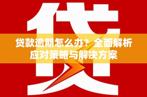横山贷款逾期怎么办？全面解析应对策略与解决方案